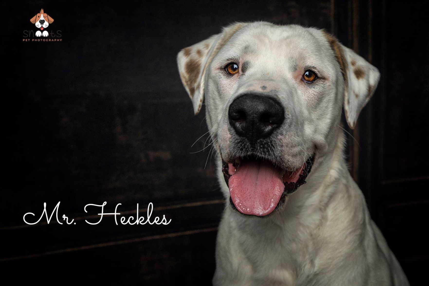 Mr. Heckles